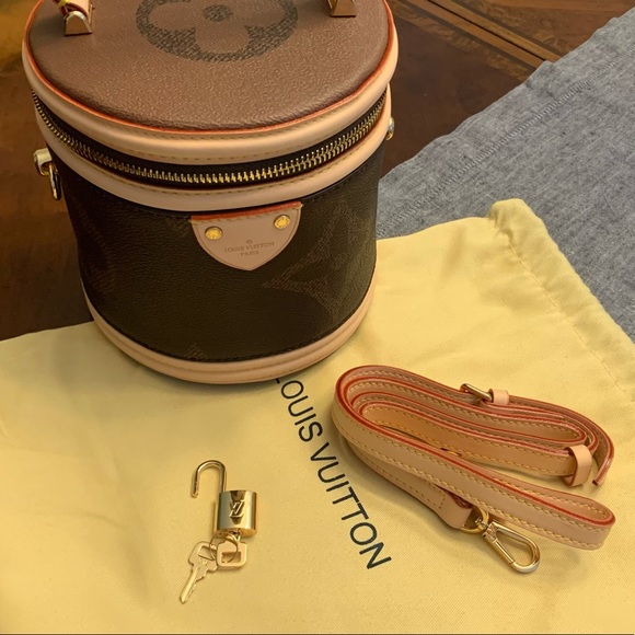 NEW Louis Vuitton Cannes Monogram Brown. - Picture 16 of 16